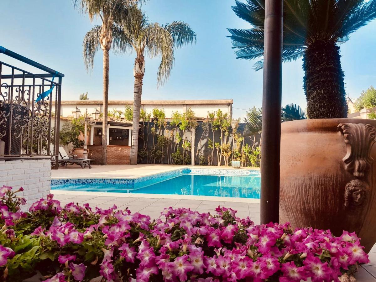 Sofi House-Appartamento In Villa Con Piscina スカファーティ エクステリア 写真